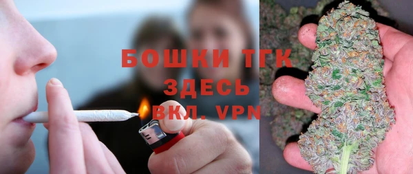 МДПВ Нефтегорск