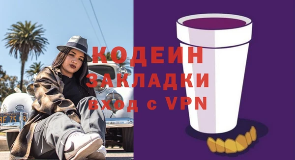 прущие грибы Нея