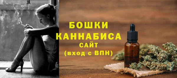 прущие грибы Нея