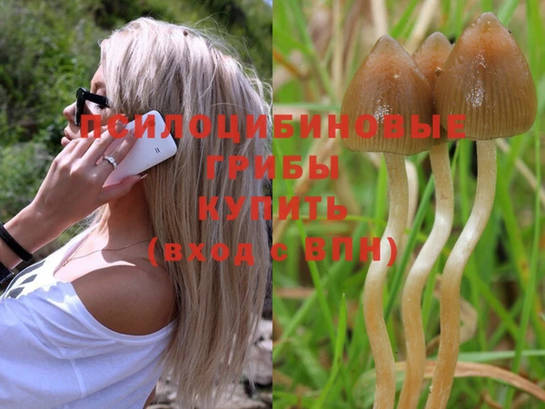 прущие грибы Нея