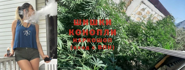 МДПВ Нефтегорск