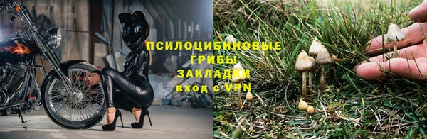 прущие грибы Нея