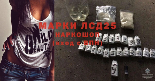 прущие грибы Нея