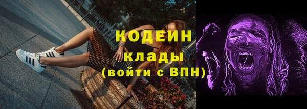 прущие грибы Нея